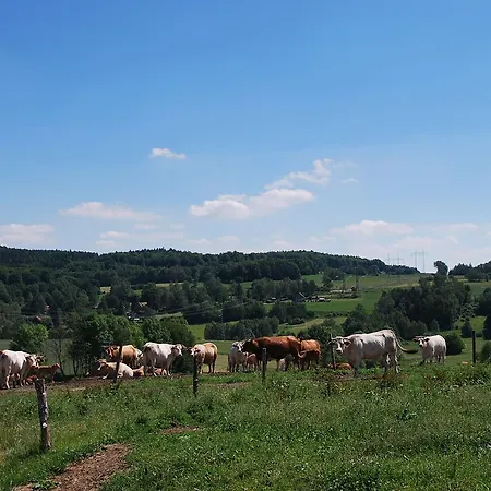 Old Style * Horní Paseka